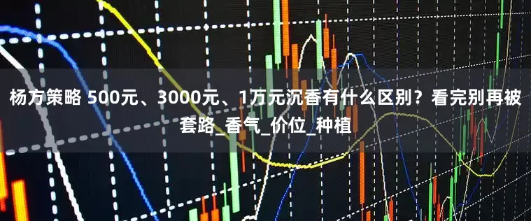 杨方策略 500元、3000元、1万元沉香有什么区别？看完别再被套路_香气_价位_种植