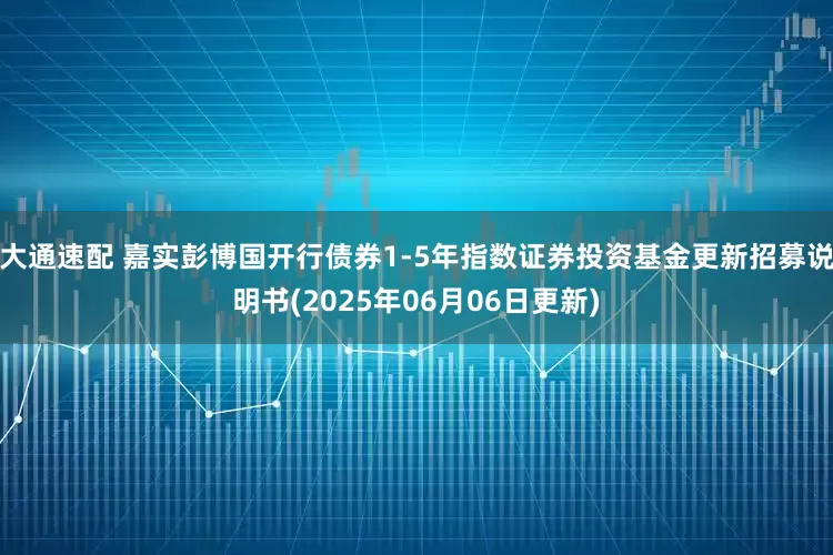 大通速配 嘉实彭博国开行债券1-5年指数证券投资基金更新招募说明书(2025年06月06日更新)