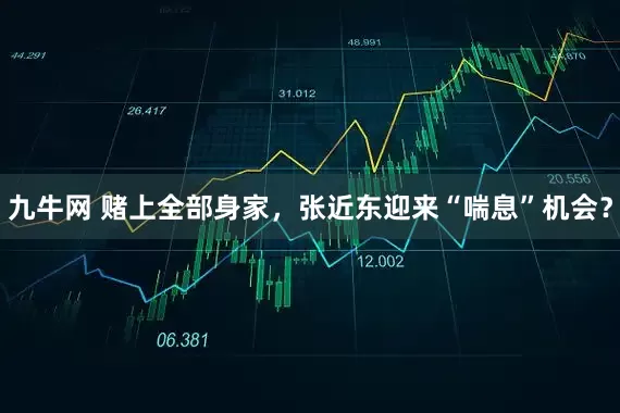 九牛网 赌上全部身家，张近东迎来“喘息”机会？